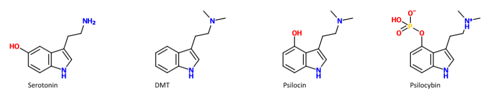 Psilocin
